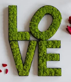 StyleGREEN Buchstaben Aus Islandmoos, Ca. H25 Cm -Pflanzenwelt Verkauf 6429435 WE MO 007 BuchstabenIslandmoosLove