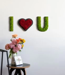 StyleGREEN Buchstaben Aus Islandmoos, Ca. H25 Cm -Pflanzenwelt Verkauf 6429518 6429633 WE MO 001 BuchstabenIslandmoosILoveU