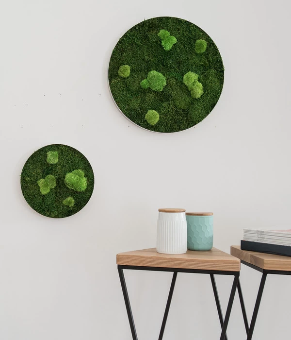 StyleGREEN Bild Aus Wald- Und Kugelmoos, Kreisförmig, Ca. Ø34 Cm 5 StyleGREEN Bild Aus Wald- Und Kugelmoos, Kreisförmig, Ca. Ø34 Cm – Bild 3