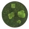 StyleGREEN Bild Aus Wald- Und Kugelmoos, Kreisförmig, Ca. Ø34 Cm 2 StyleGREEN Bild Aus Wald- Und Kugelmoos, Kreisförmig, Ca. Ø34 Cm -Pflanzenwelt Verkauf 6429765 WE FS 001 Wald KugelmoosbildD34cm