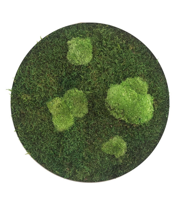 StyleGREEN Bild Aus Wald- Und Kugelmoos, Kreisförmig, Ca. Ø34 Cm 3 StyleGREEN Bild Aus Wald- Und Kugelmoos, Kreisförmig, Ca. Ø34 Cm
