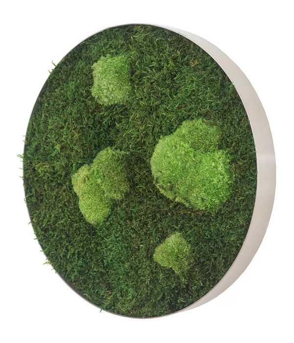 StyleGREEN Bild Aus Wald- Und Kugelmoos, Kreisförmig, Ca. Ø34 Cm 4 StyleGREEN Bild Aus Wald- Und Kugelmoos, Kreisförmig, Ca. Ø34 Cm – Bild 2