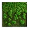 StyleGREEN Bild Aus Wald- Und Kugelmoos Im Verlauf, Ca. B80/H80/T7 Cm