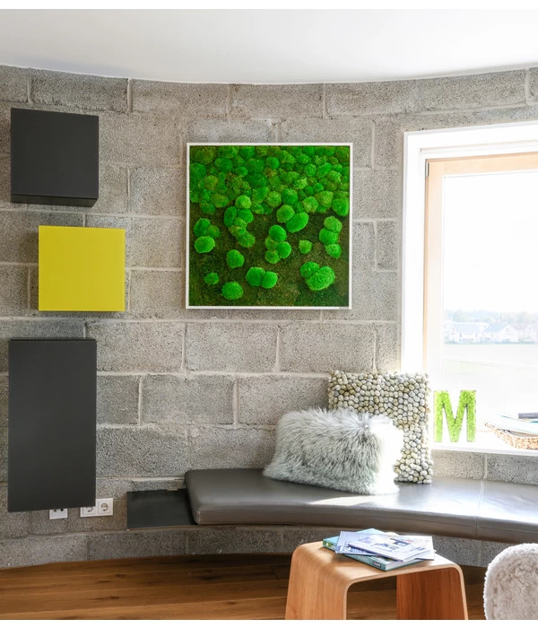 StyleGREEN Bild Aus Wald- Und Kugelmoos Im Verlauf, Ca. B80/H80/T7 Cm 5 StyleGREEN Bild Aus Wald- Und Kugelmoos Im Verlauf, Ca. B80/H80/T7 Cm – Bild 3