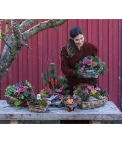 Grabstrauß In Liebe, Ca. Ø30 Cm -Pflanzenwelt Verkauf 6462857 WE MO 002 SerieInLiebePremiumAllerheiligen202301
