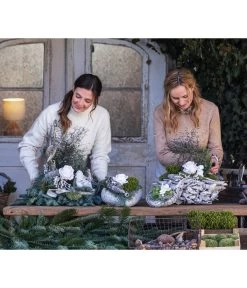 Grabgesteck Stille, Ca. B60/H55/T45 Cm 6 Grabgesteck Stille, Ca. B60/H55/T45 Cm -Pflanzenwelt Verkauf 6462949 WE MO 002 SerieStillePremiumAllerheiligen2023 1