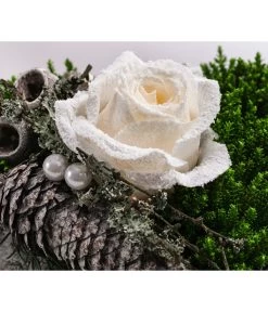 Grabgesteck Stille, Ca. B60/H55/T45 Cm 7 Grabgesteck Stille, Ca. B60/H55/T45 Cm -Pflanzenwelt Verkauf 6462964 WE DE 001 SerieStillePremiumAllerheiligen2023 1