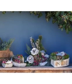 Grabgesteck In Erinnerung, Ca. B60/H50/T40 Cm 8 Grabgesteck In Erinnerung, Ca. B60/H50/T40 Cm -Pflanzenwelt Verkauf 6463004 WE MO 001 SerieInErinnerungPremiumAllerheiligen2023