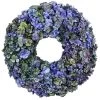 Dehner Kranz Hortensie, Blau/lila, Ca. Ø45 Cm 1 Dehner Kranz Hortensie, Blau/lila, Ca. Ø45 Cm -Pflanzenwelt Verkauf 6536890 WE FS 001 KranzHortensieBLAU