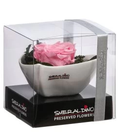 Dehner Herzschale Mit Longlife-Rose Lena, Rosa, Ca. B11/H7 Cm -Pflanzenwelt Verkauf 6537666 WE FS 001 LL HerzLenaROSA