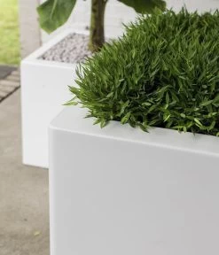 Fleur Ami Kunststoff-Topf New Tribeca, Quadratisch, Weiß -Pflanzenwelt Verkauf 6600035 WE DE 002 fleuramiKunststoffTopfTribecaBlockquadratisch
