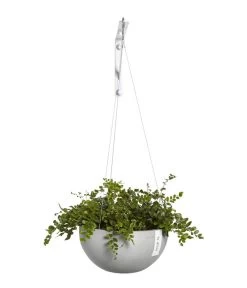 Ecopots Kunststoff-Hängeampel Brussels, Rund, Ca. Ø26,5/H13 Cm 9 Ecopots Kunststoff-Hängeampel Brussels, Rund, Ca. Ø26,5/H13 Cm -Pflanzenwelt Verkauf 6614606 WE FS 002 EcopotsKunststoffHaengeampelBrusselsrund