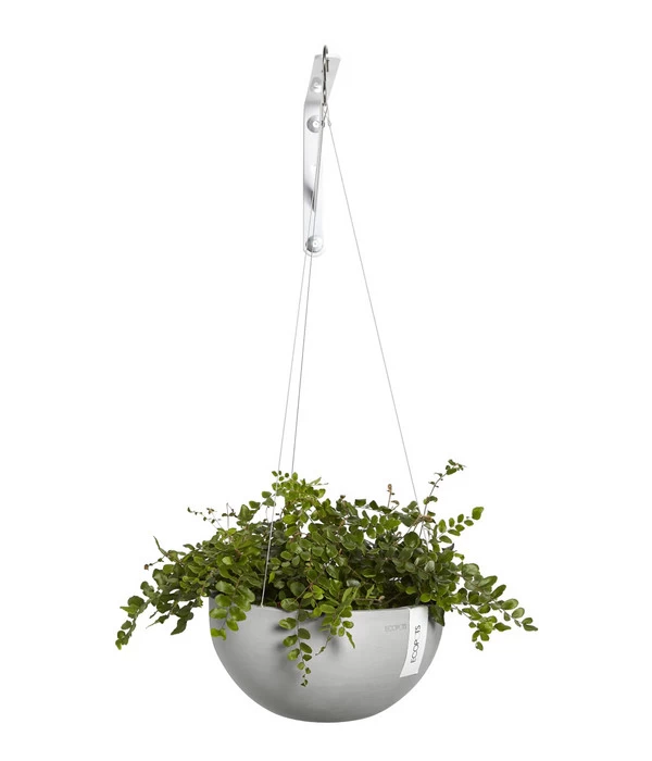 Ecopots Kunststoff-Hängeampel Brussels, Rund, Ca. Ø26,5/H13 Cm 4 Ecopots Kunststoff-Hängeampel Brussels, Rund, Ca. Ø26,5/H13 Cm – Bild 2