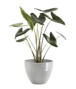 Ecopots Kunststoff-Topf Antwerp, Rund 10 Ecopots Kunststoff-Topf Antwerp, Rund -Pflanzenwelt Verkauf 6614747 WE FS 004 EcopotsKunststoffTopfAntwerprund