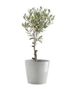 Ecopots Kunststoff-Topf Amsterdam Mit Wassersystem, Rund, Hellgrau 12 Ecopots Kunststoff-Topf Amsterdam Mit Wassersystem, Rund, Hellgrau -Pflanzenwelt Verkauf 6614846 WE FS 004 EcopotsKunststoffTopfAmsterdammitWassersystemrundhellgrau