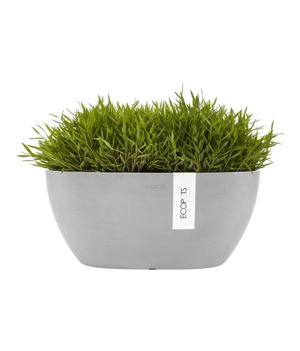 Ecopots Kunststoff-Schale Sofia Mit Wassersystem, Oval, Ca. B30/H13,5/T13 Cm 4 Ecopots Kunststoff-Schale Sofia Mit Wassersystem, Oval, Ca. B30/H13,5/T13 Cm – Bild 2