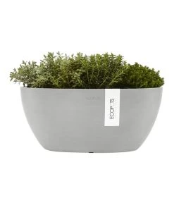 Ecopots Kunststoff-Schale Sofia Mit Wassersystem, Oval, Ca. B30/H13,5/T13 Cm 10 Ecopots Kunststoff-Schale Sofia Mit Wassersystem, Oval, Ca. B30/H13,5/T13 Cm -Pflanzenwelt Verkauf 6614903 WE FS 003 EcopotsKunststoffSchaleSofiamitWassersystemoval
