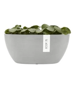 Ecopots Kunststoff-Schale Sofia Mit Wassersystem, Oval, Ca. B30/H13,5/T13 Cm 11 Ecopots Kunststoff-Schale Sofia Mit Wassersystem, Oval, Ca. B30/H13,5/T13 Cm -Pflanzenwelt Verkauf 6614903 WE FS 004 EcopotsKunststoffSchaleSofiamitWassersystemoval