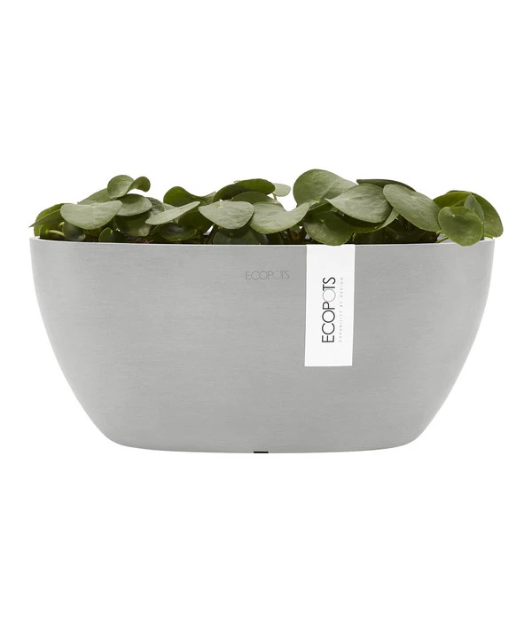 Ecopots Kunststoff-Schale Sofia Mit Wassersystem, Oval, Ca. B30/H13,5/T13 Cm 6 Ecopots Kunststoff-Schale Sofia Mit Wassersystem, Oval, Ca. B30/H13,5/T13 Cm – Bild 4
