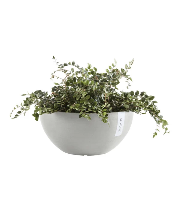 Ecopots Kunststoff-Topf Brussels, Rund 3 Ecopots Kunststoff-Topf Brussels, Rund – Bild 2