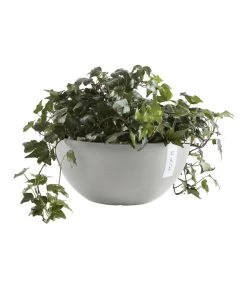 Ecopots Kunststoff-Topf Brussels, Rund 10 Ecopots Kunststoff-Topf Brussels, Rund -Pflanzenwelt Verkauf 6614978 WE FS 004 EcopotsKunststoffTopfBrusselsrund