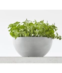 Ecopots Kunststoff-Topf Brussels, Rund 11 Ecopots Kunststoff-Topf Brussels, Rund -Pflanzenwelt Verkauf 6614978 WE MO 001 EcopotsKunststoffTopfBrusselsrund