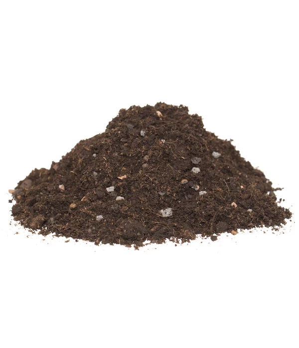 Floragard Zitrus- Und Mediterranpflanzenerde 5 Floragard Zitrus- Und Mediterranpflanzenerde – Bild 3