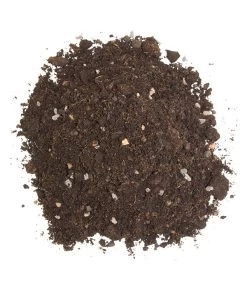 Floragard Zitrus- Und Mediterranpflanzenerde 9 Floragard Zitrus- Und Mediterranpflanzenerde -Pflanzenwelt Verkauf 6624191 WE DE 002 FloragardZitruspflanzundMediterranpflanzenerde