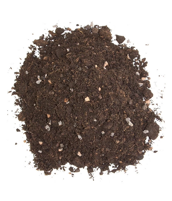 Floragard Zitrus- Und Mediterranpflanzenerde 6 Floragard Zitrus- Und Mediterranpflanzenerde – Bild 4