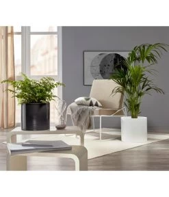 Scheurich Keramik-Übertopf, Rund, Ca. Ø33 Cm 9 Scheurich Keramik-Übertopf, Rund, Ca. Ø33 Cm -Pflanzenwelt Verkauf 6642151 PR MO 001 TopfPanna