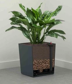 Siena Garden Kunststoff-Topf Biron, Eckig, Ca. B40/H41,5/T40 Cm 11 Siena Garden Kunststoff-Topf Biron, Eckig, Ca. B40/H41,5/T40 Cm -Pflanzenwelt Verkauf 6655336 WE DE 002 PflanzgefaessBironGraphit