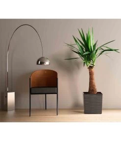 Siena Garden Kunststoff-Topf Biron, Eckig, Ca. B40/H41,5/T40 Cm 8 Siena Garden Kunststoff-Topf Biron, Eckig, Ca. B40/H41,5/T40 Cm -Pflanzenwelt Verkauf 6655336 WE MO 001 PflanzgefaessBironGraphit