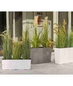 Siena Garden Kunststoff-Kasten Craon, Eckig, Grau, Ca. B56/H36,5/T19 Cm 9 Siena Garden Kunststoff-Kasten Craon, Eckig, Grau, Ca. B56/H36,5/T19 Cm -Pflanzenwelt Verkauf 6655492 WE MO 002 PflanzgefaessCraonGrau