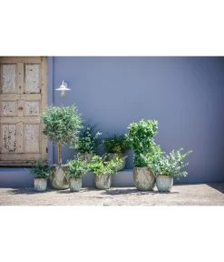 Dehner Keramik-Topf Rombus 8 Dehner Keramik-Topf Rombus -Pflanzenwelt Verkauf 6703276 6703284 6703292 6703300 WE MO 002 DehnerKeramikTopfRombus