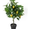 Dehner Kunstpflanze Zitronenbaum 1 Dehner Kunstpflanze Zitronenbaum -Pflanzenwelt Verkauf 6713408 WE FS 001 KunstpflanzeZitronenbaumgetopft