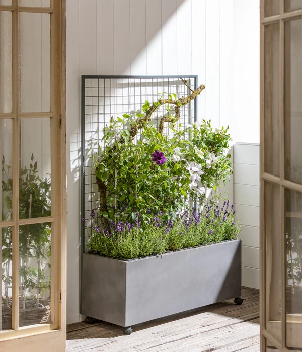 Dehner Leichtbeton-Kasten Mit Spalier Und Rollen, Ca. B100/H142/T37 Cm, Grau 5 Dehner Leichtbeton-Kasten Mit Spalier Und Rollen, Ca. B100/H142/T37 Cm, Grau – Bild 3