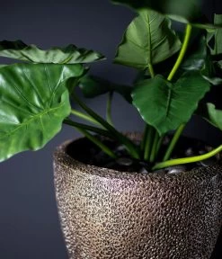 Fleur Ami Kunststoff-Topf Coral, Konisch, Bronze 11 Fleur Ami Kunststoff-Topf Coral, Konisch, Bronze -Pflanzenwelt Verkauf 6757801 WE MO 002 FleurAmiPflanzgefaessCoral