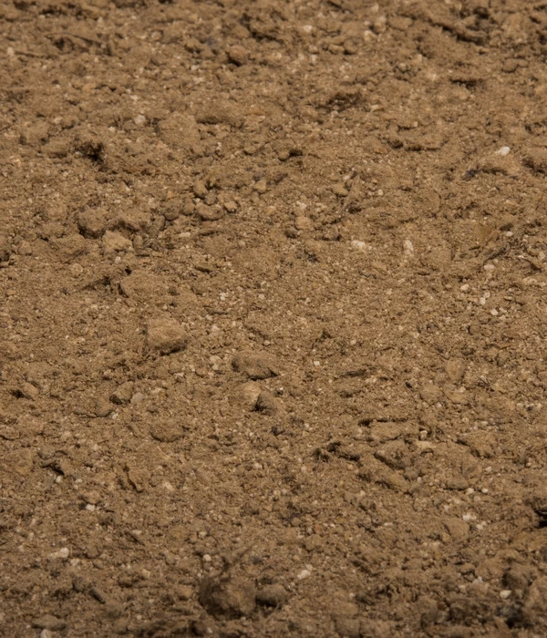 COMPO BIO Naturdünger Mit Guano 5 COMPO BIO Naturdünger Mit Guano – Bild 3