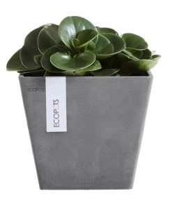 Ecopots Kunststoff-Topf Rotterdam, Quadratisch 8 Ecopots Kunststoff-Topf Rotterdam, Quadratisch -Pflanzenwelt Verkauf 6850531 6850564 6850580 6850622 WE FS 002 EcopotsKunststoffTopfRotterdamquadratischgrau
