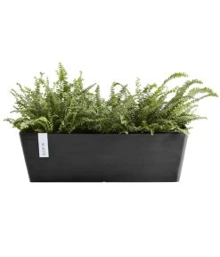 Ecopots Kunststoff-Kasten Bruges Mit Wassersystem, Rechteckig, Ca. B55/H17/T17 Cm 7 Ecopots Kunststoff-Kasten Bruges Mit Wassersystem, Rechteckig, Ca. B55/H17/T17 Cm -Pflanzenwelt Verkauf 6850663 WE FS 002 EcopotsKunststoffKastenrechteckigdunkelgrau