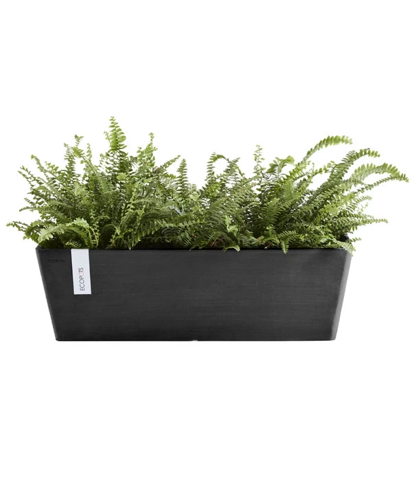 Ecopots Kunststoff-Kasten Bruges Mit Wassersystem, Rechteckig, Ca. B55/H17/T17 Cm 4 Ecopots Kunststoff-Kasten Bruges Mit Wassersystem, Rechteckig, Ca. B55/H17/T17 Cm – Bild 2