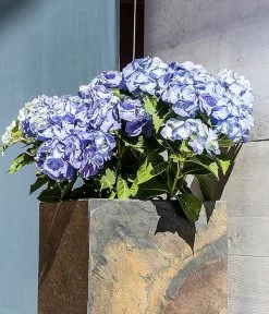 Climaqua Schiefer-Säule Pylo, Quadratisch 8 Climaqua Schiefer-Säule Pylo, Quadratisch -Pflanzenwelt Verkauf 6877179 WE MO 001 ClimaquaSchieferSaeulePyloquadratisch