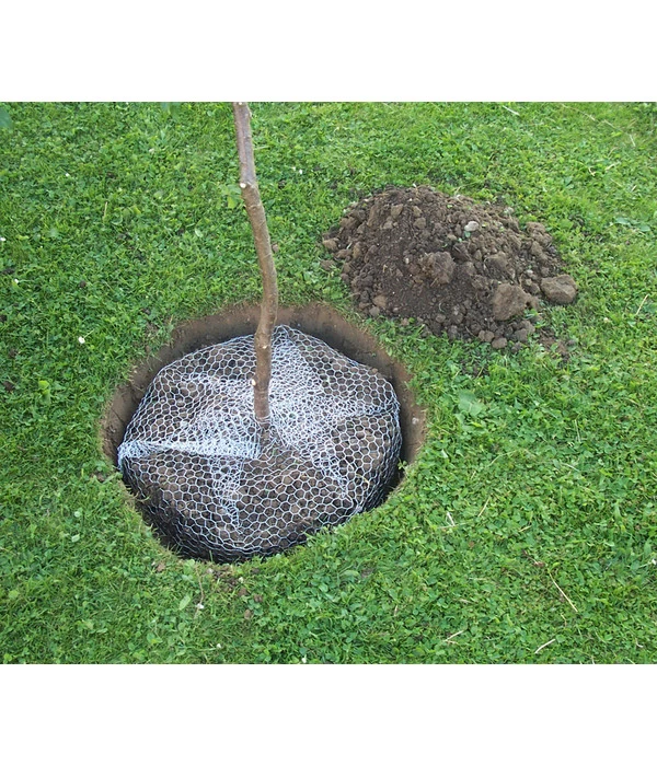 Wühlmauskorb 5 Wühlmauskorb – Bild 3