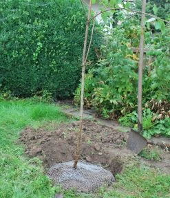 Wühlmauskorb 11 Wühlmauskorb -Pflanzenwelt Verkauf 6920136 WE MO 004 Wuehlmauskorb