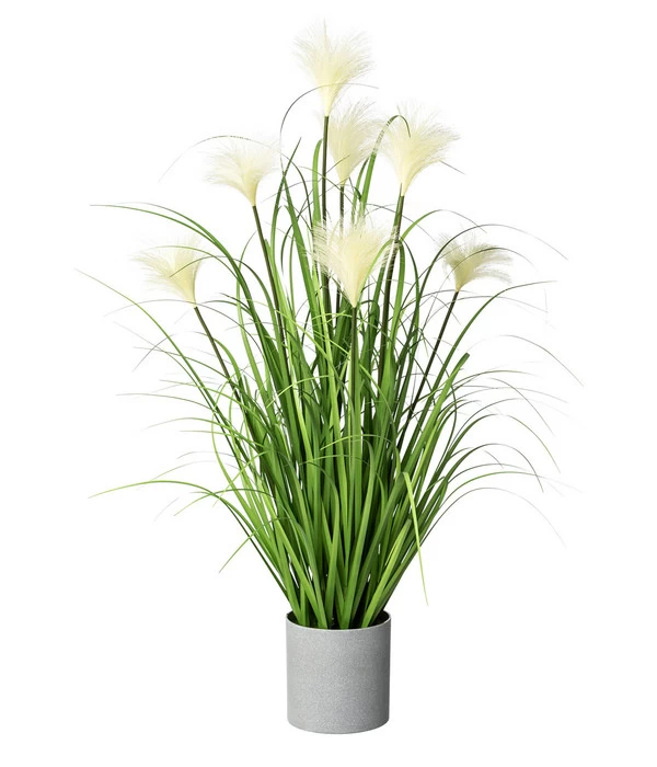 Gasper Kunstpflanze Riedgras, Ca. H76 Cm 3 Gasper Kunstpflanze Riedgras, Ca. H76 Cm