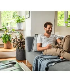 LECHUZA® TRENDCOVER Cork, All-in-One Set 8 LECHUZA® TRENDCOVER Cork, All-in-One Set -Pflanzenwelt Verkauf 6946891 6946933 6947097 6947139 WE MO 001 Trendcover