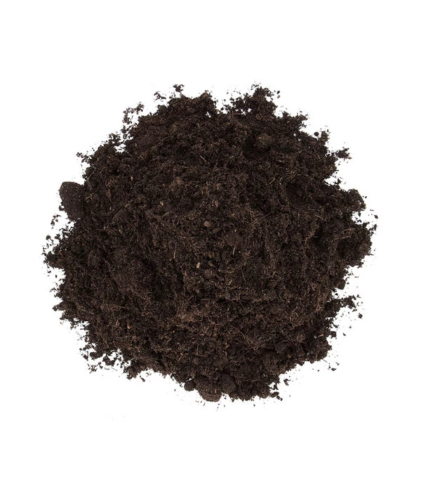 Floragard Blumenerde, 4 X 20 L 7 Floragard Blumenerde, 4 X 20 L – Bild 5