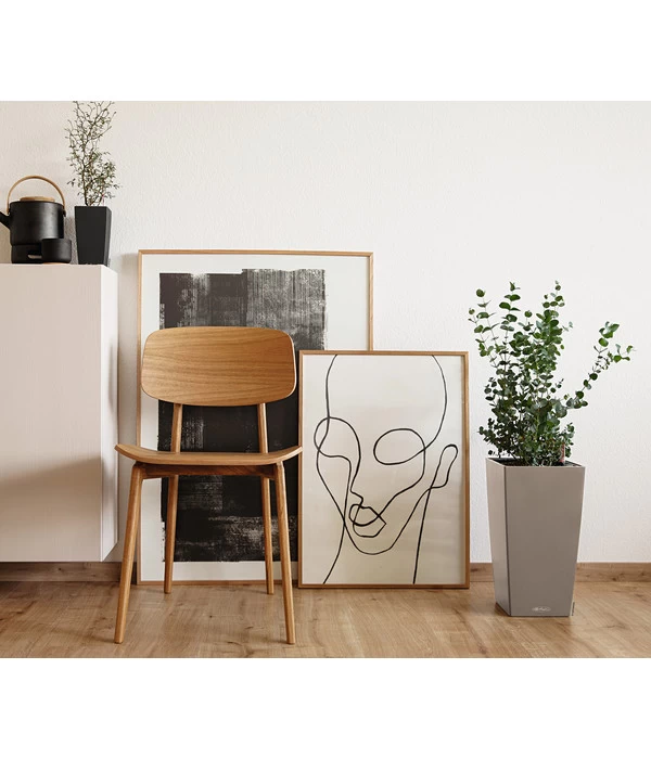 LECHUZA® MAXI/MINI-CUBI, All-in-One-Set 6 LECHUZA® MAXI/MINI-CUBI, All-in-One-Set – Bild 4