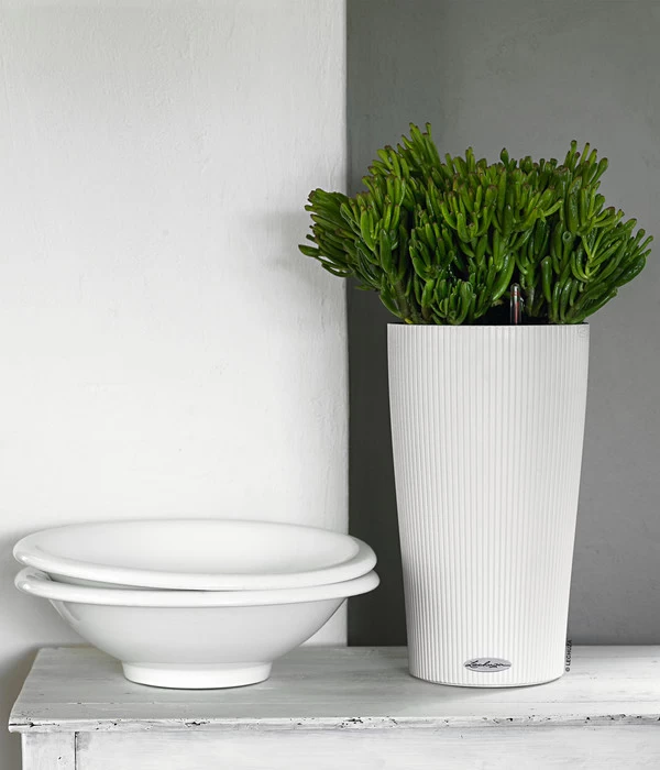 LECHUZA® CILINDRO Color, All-in-One Set 6 LECHUZA® CILINDRO Color, All-in-One Set – Bild 4