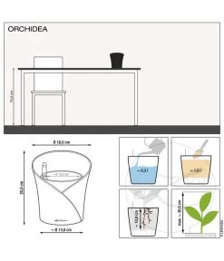 LECHUZA® ORCHIDEA, All-in-One Set, Ca. Ø18/H20 Cm 17 LECHUZA® ORCHIDEA, All-in-One Set, Ca. Ø18/H20 Cm -Pflanzenwelt Verkauf 6963375 6963383 6963391 WE MO 01 OrchideaWeissAnthraRot